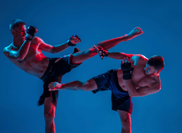 MMA Professional Fighters