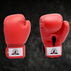 Professional Boxing Gloves