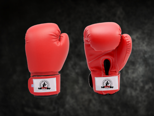 Professional Boxing Gloves