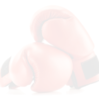 element-1 Hitt Boxing Gloves